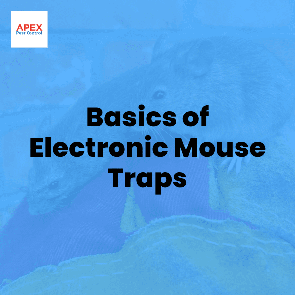 Basics of Electronic Mouse Traps — Apex Pest Control