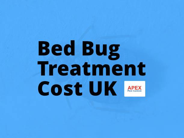 Bed Bug Treatment Cost UK: What to Expect to Pay — Apex Pest Control