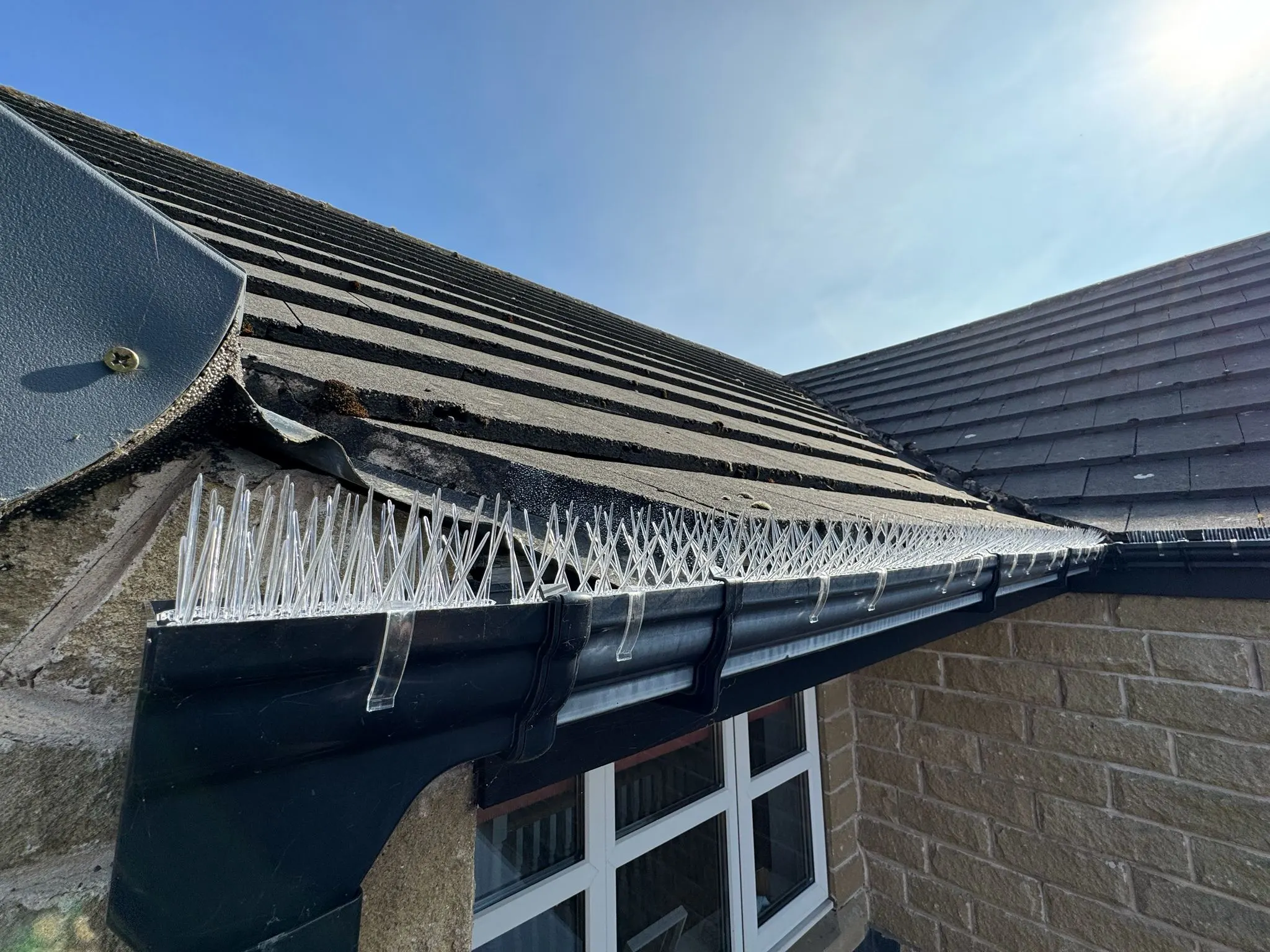 Bird spikes fitted to all perch surfaces on a roof
