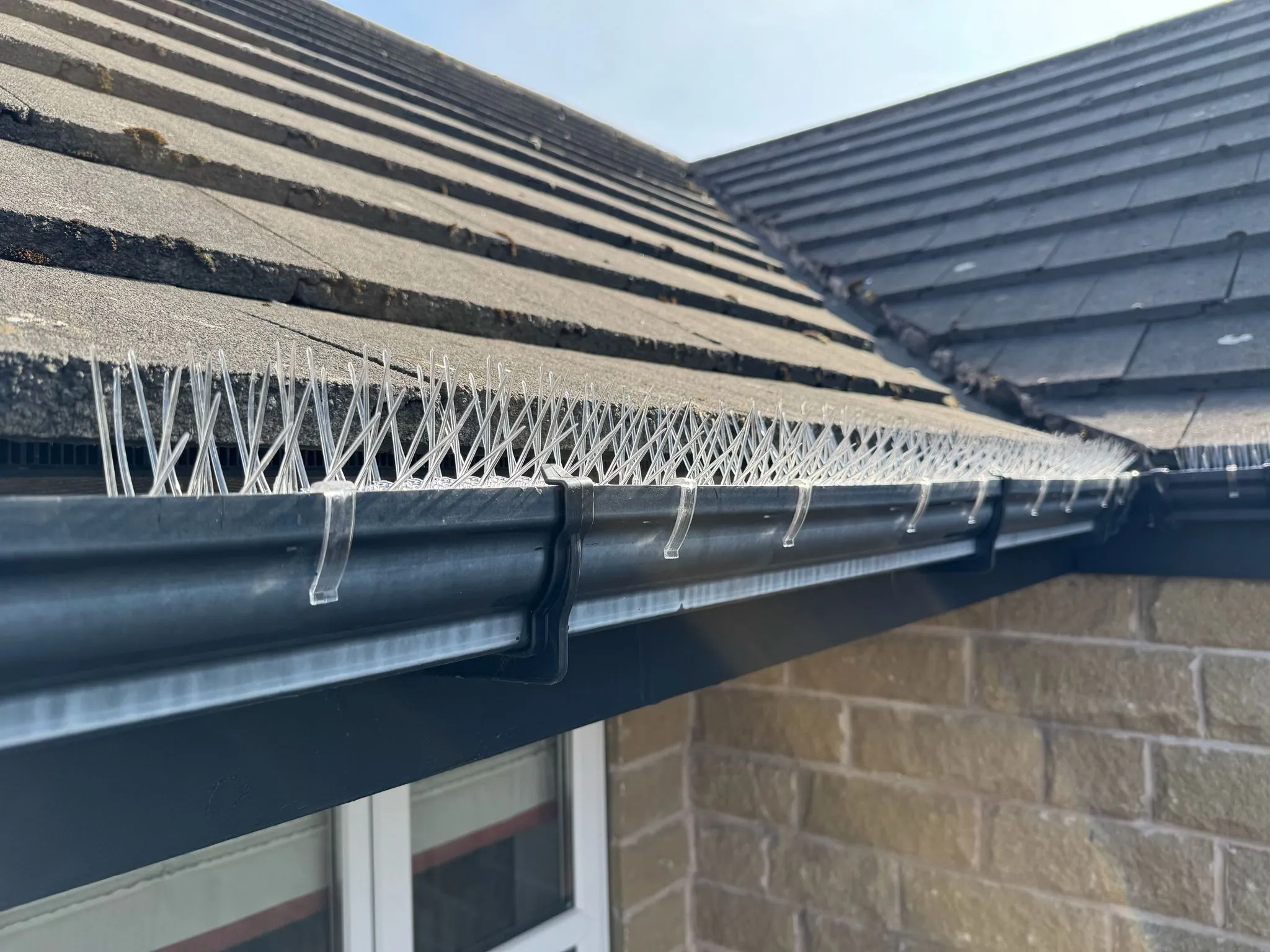 Bird spikes installed to an internal roof corner