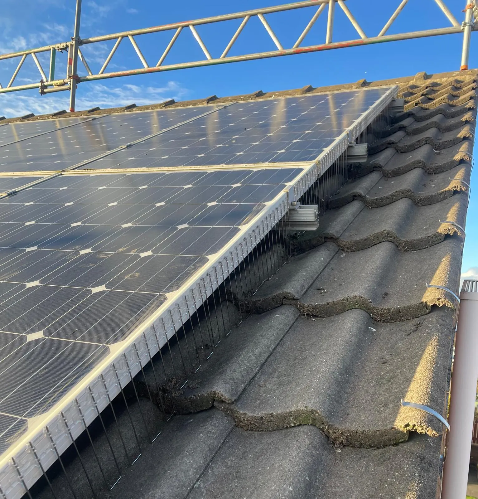 Bird proofing and prevention solar panel guard strips fitted around an array