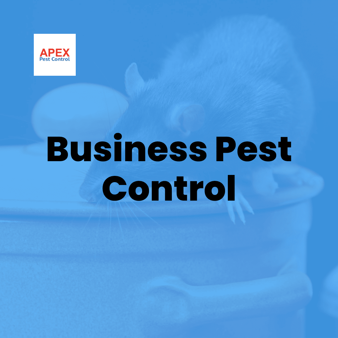 Business Pest Control — Apex Pest Control