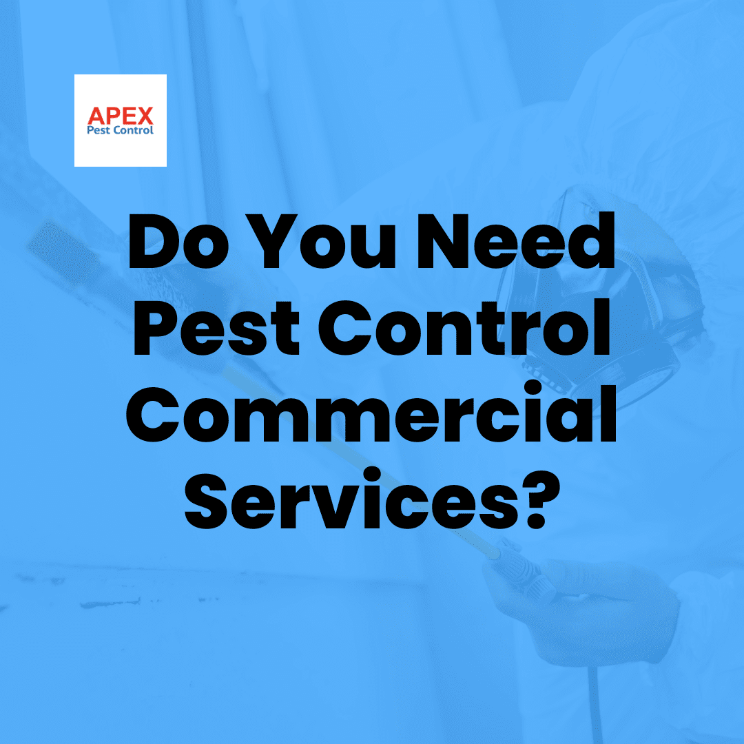 Pest Control Commercial Services — Apex Pest Control