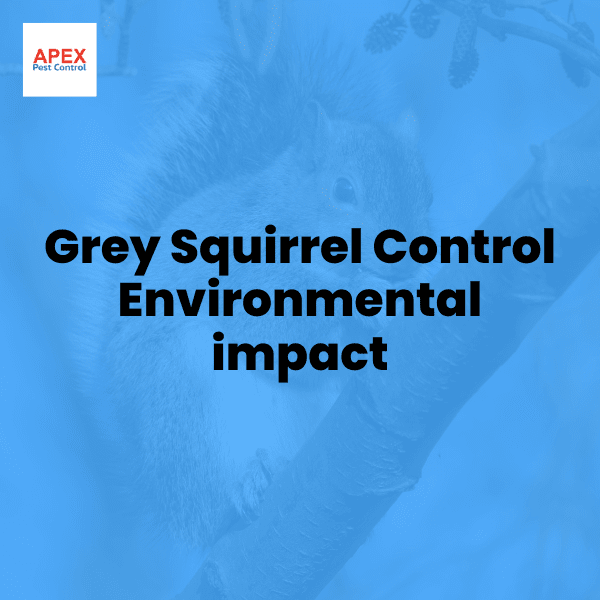 Grey Squirrel Control: Environmental Impact in the UK — Apex Pest Control
