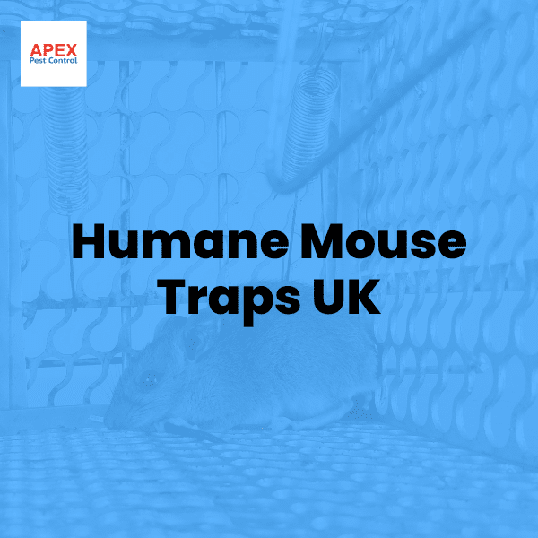 Humane Mouse Traps — Apex Pest Control
