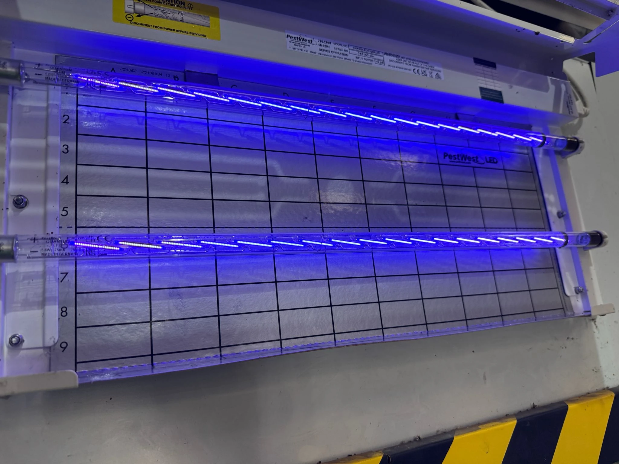 PestWest LED electric fly killer units installed and maintained on a commercial kitchen wall by Apex Pest Control