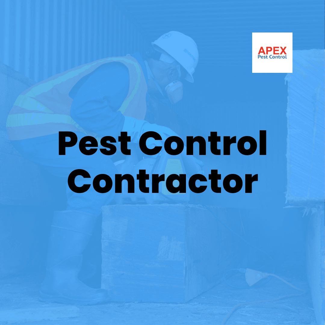 What Does a Pest Control Contractor Do? — Apex Pest Control