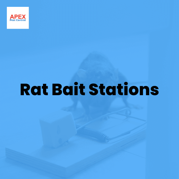 Rat Bait Stations: Types, Placement and Safe Use — Apex Pest Control