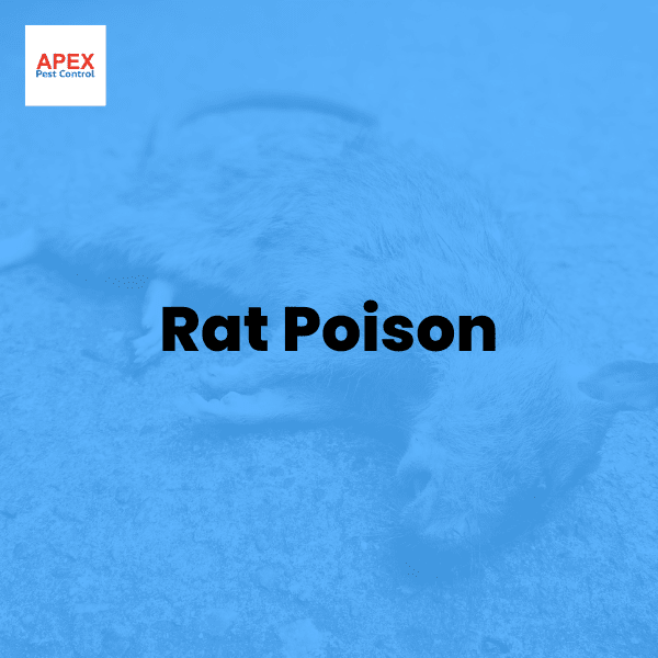 Rat Poison — Apex Pest Control