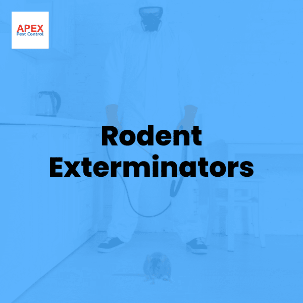 Rodent Exterminators: Professional Rat and Rodent Control — Apex Pest Control