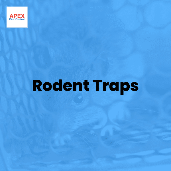 Rodent Traps — Apex Pest Control