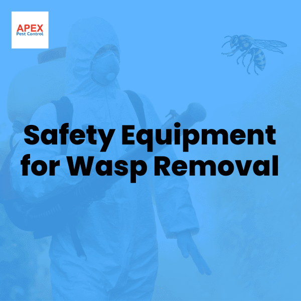 Safety Equipment for Wasp Removal — Apex Pest Control