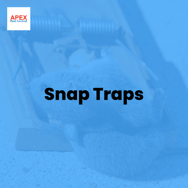 Snap Traps — Apex Pest Control