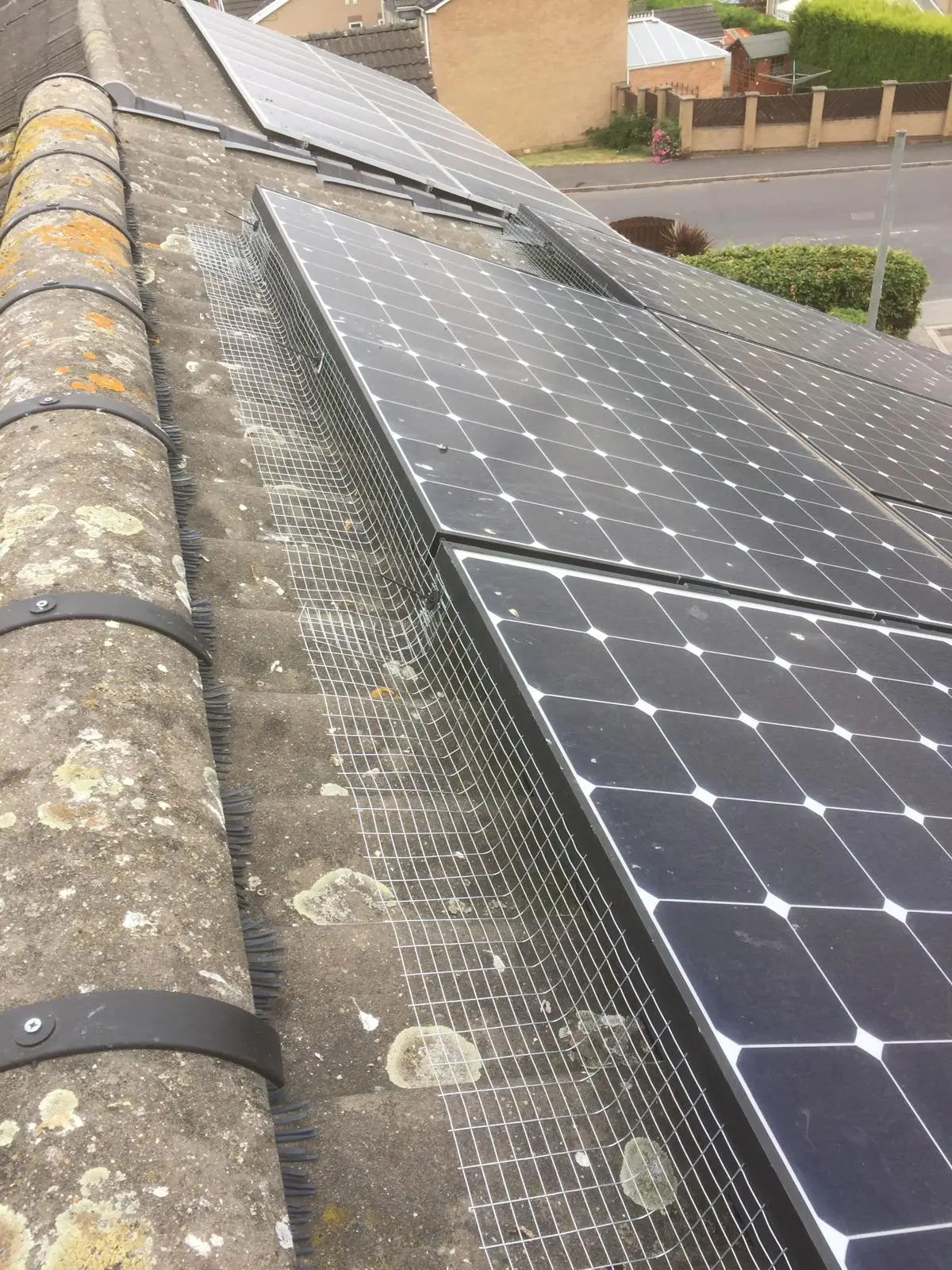 Completed solar panel bird proofing preventing pigeons nesting under the array