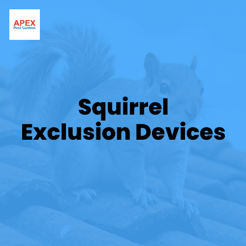 Squirrel Exclusion Devices — Apex Pest Control