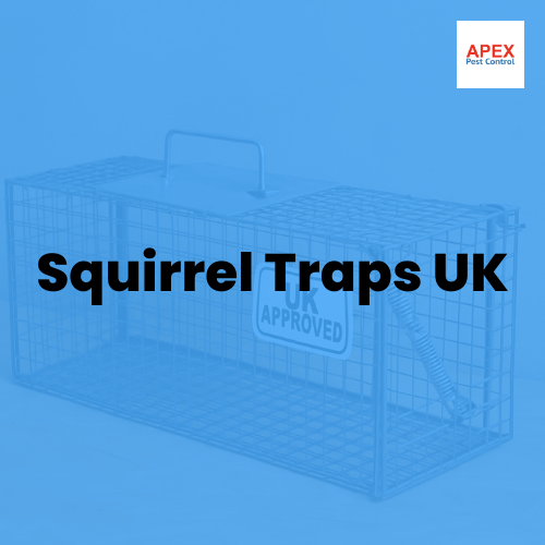 Squirrel Traps UK — Apex Pest Control