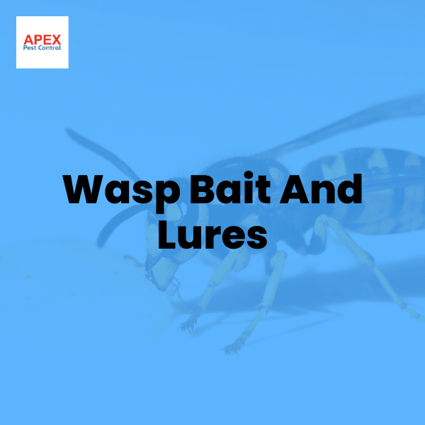 Wasp Bait and Lures: How to Reduce Wasp Numbers — Apex Pest Control