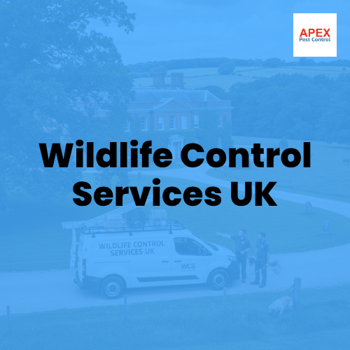 Wildlife Control Services UK — Apex Pest Control
